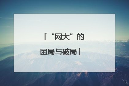 “网大”的困局与破局
